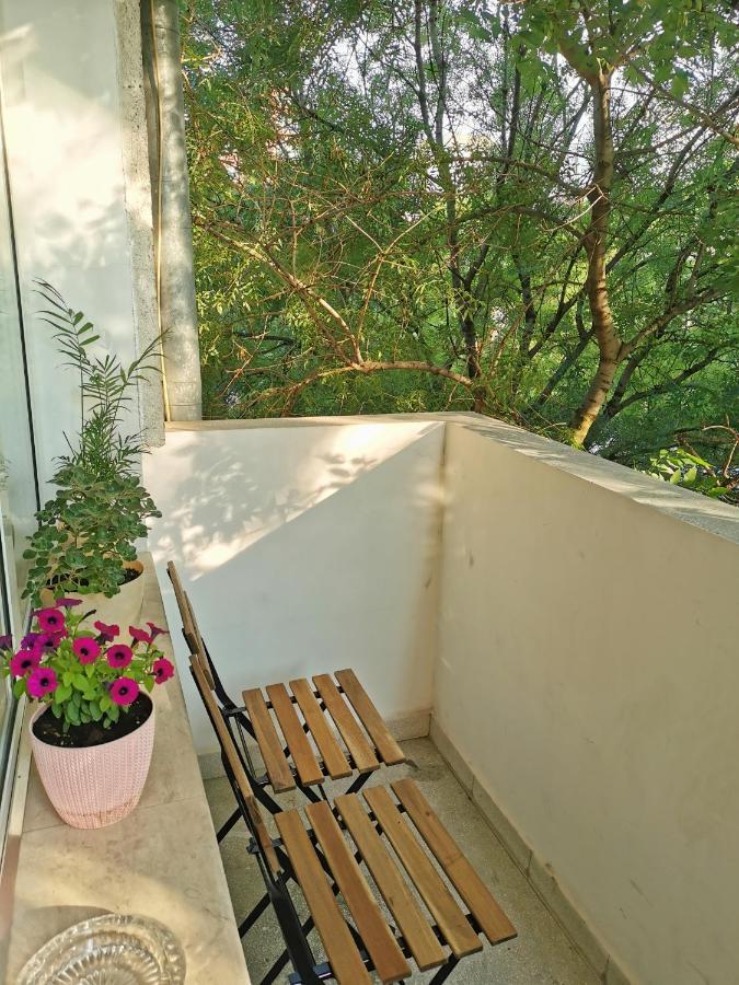 Fresh Apartament